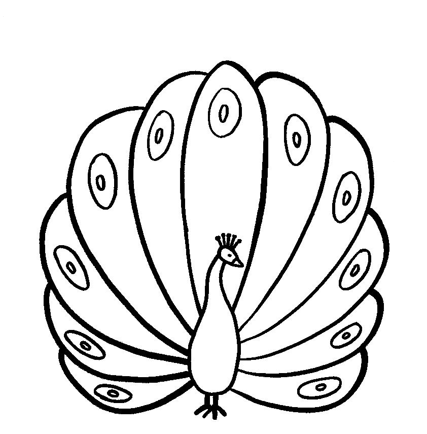 dibujo de pavo real para colorear