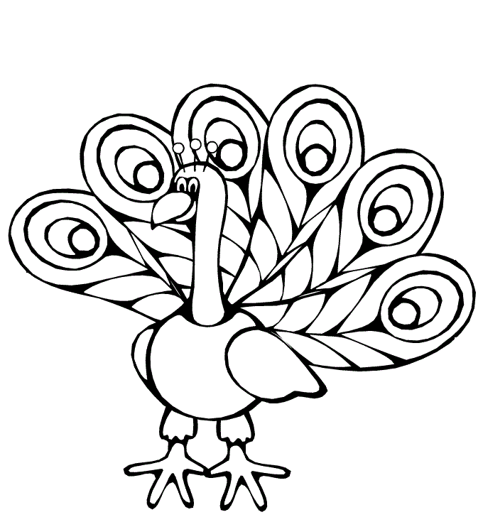 dibujos de pavo real para colorear