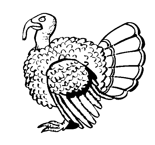 pavo para colorear