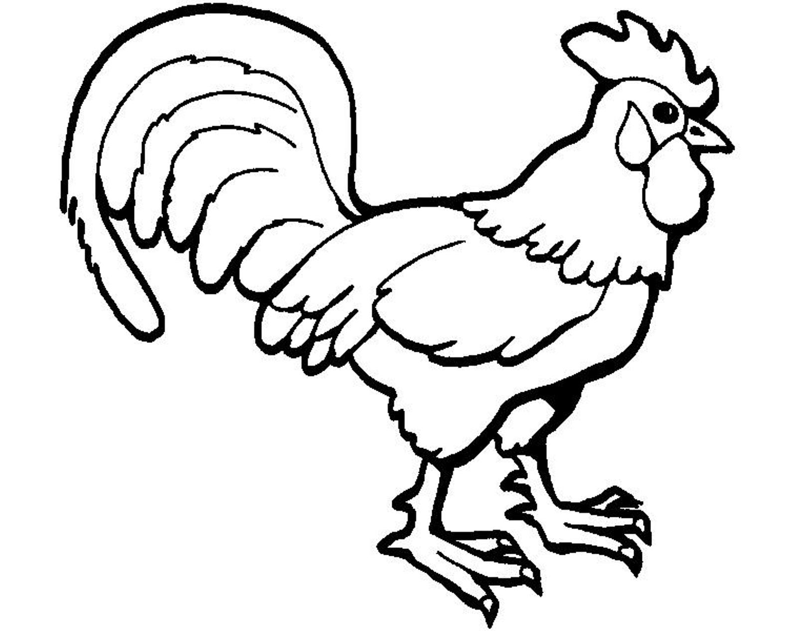 dibujo de gallo para colorear