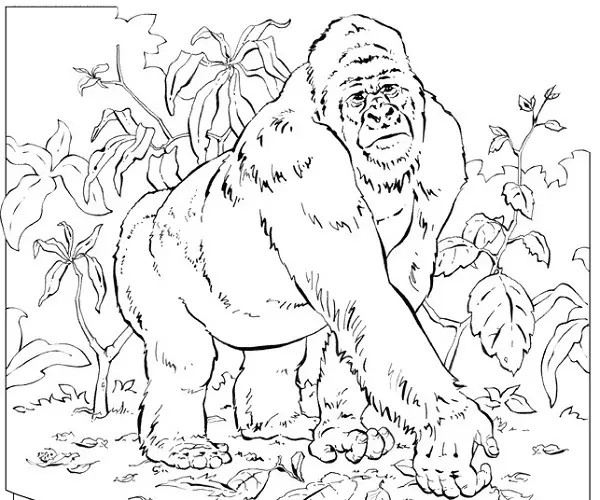 dibujo de gorila para colorear