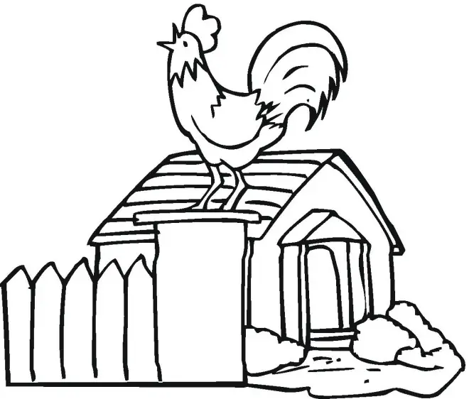 dibujo de un gallo para colorear