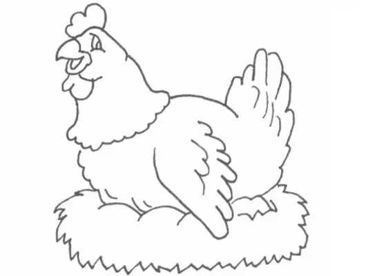 dibujo de un pollo para colorear