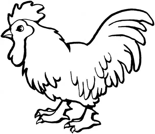 dibujos de gallos para colorear