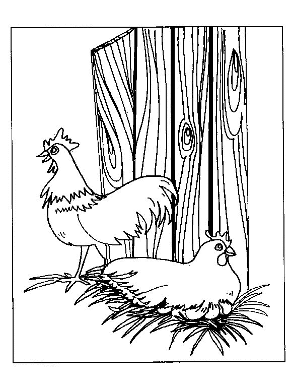 dibujos de pollos para colorear