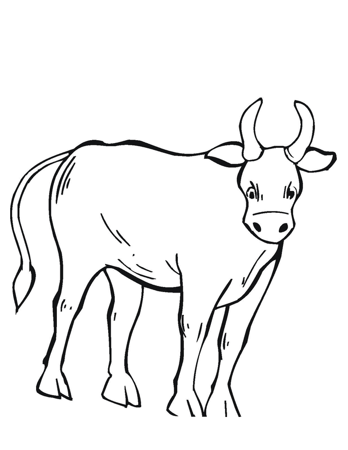 dibujos de toros para colorear