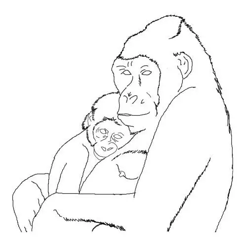dibujos para colorear de gorilas