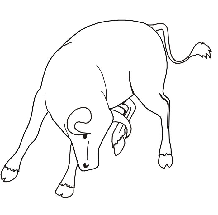dibujos para colorear de toros