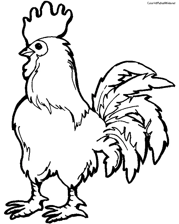 dibujos para colorear de un gallo