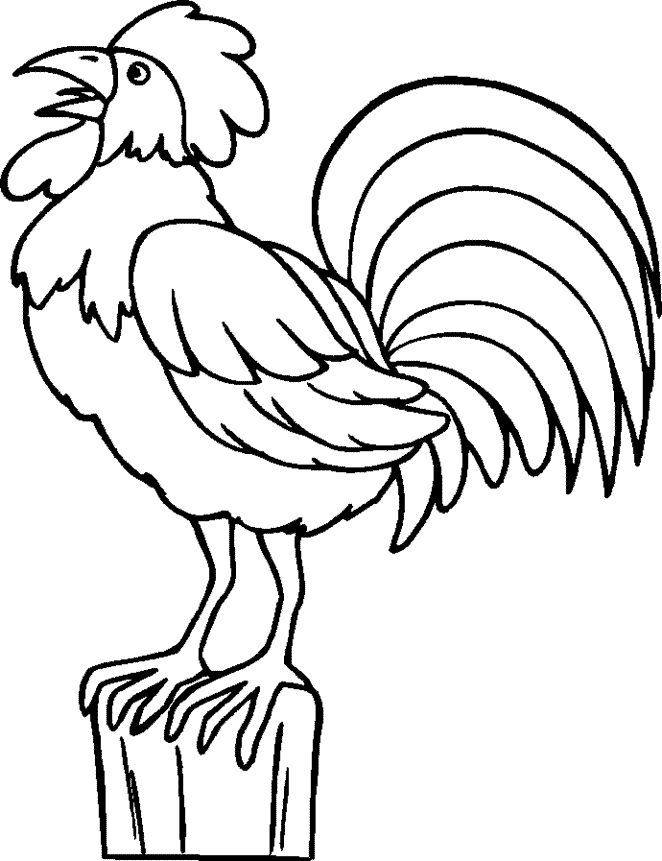 dibujos para colorear gallos