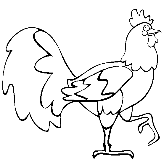 gallo sobre una pata