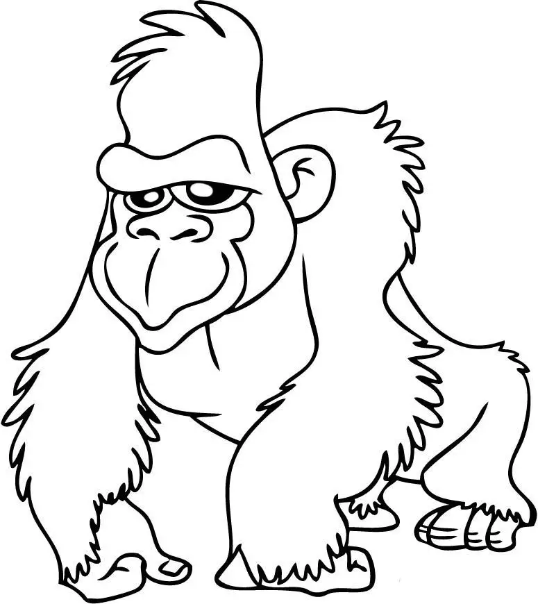 gorila para pintar