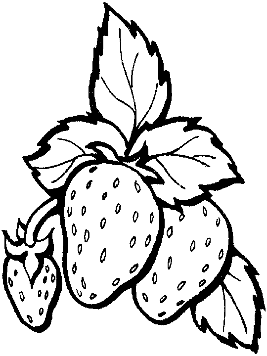 dibujos para colorear de fresas