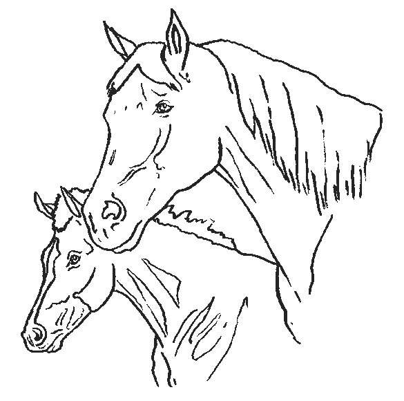 caballos pintar