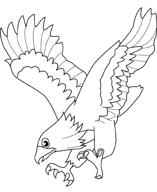 dibujo de aguila para colorear