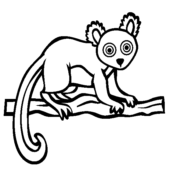 dibujo de lemur para colorear