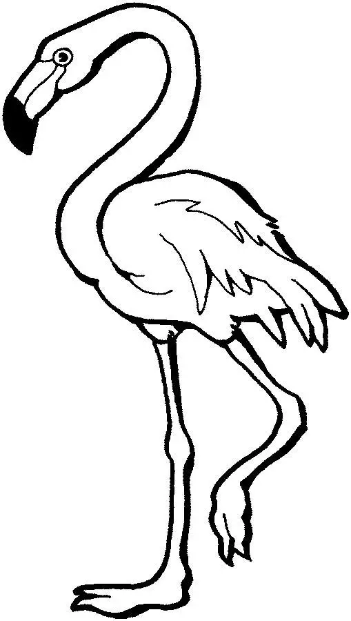 dibujo flamingo para colorear