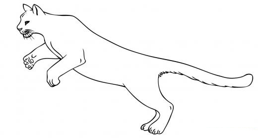 dibujo puma para colorear