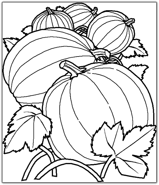 dibujos de calabazas para colorear