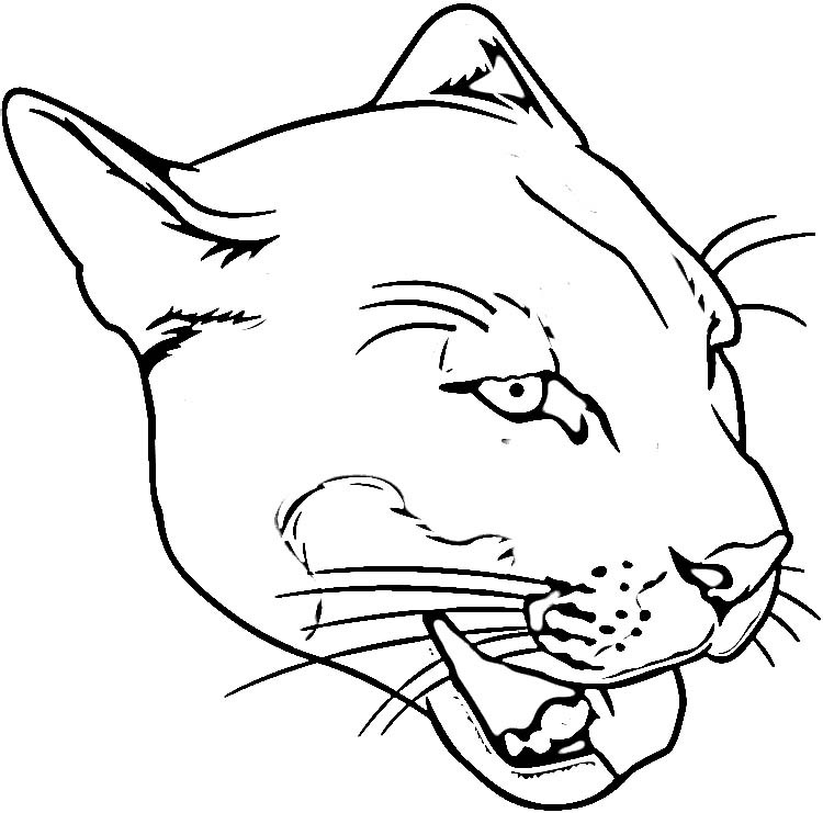 un puma para dibujar