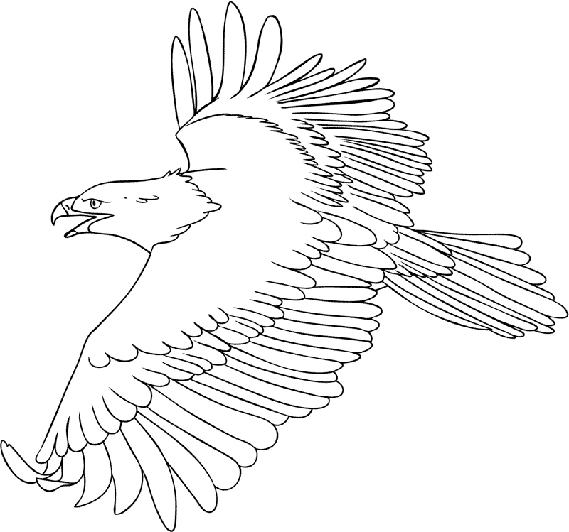 dibujos para colorear de aguilas