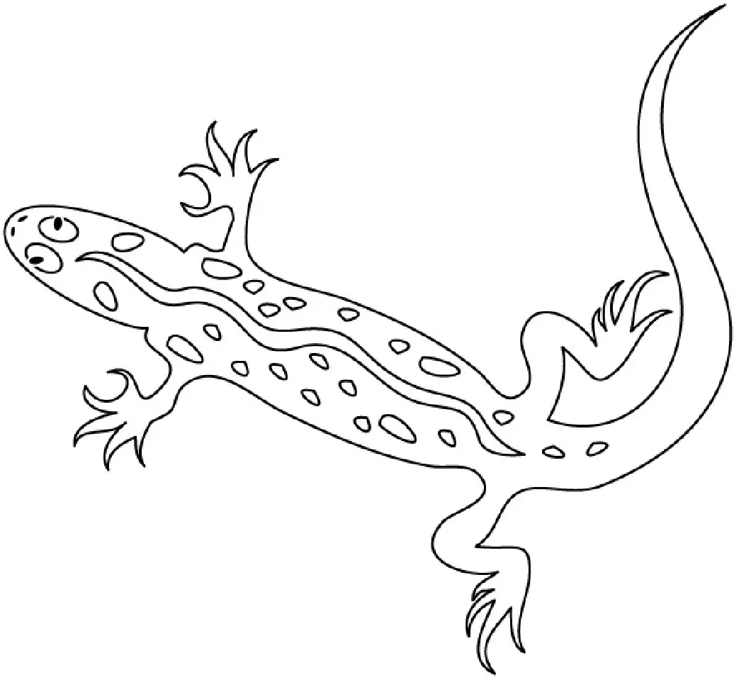 dibujos para colorear de lagartos