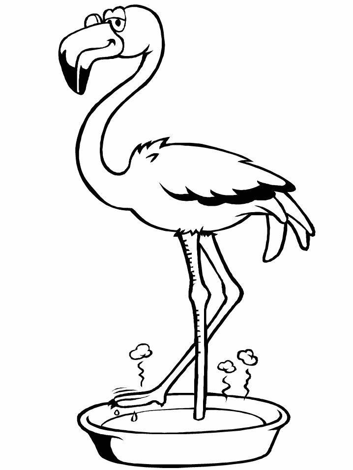 flamingo para colorear