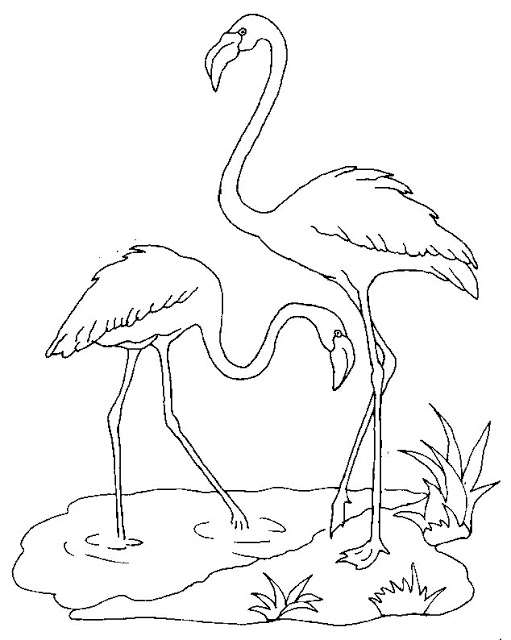 flamingo para imprimir