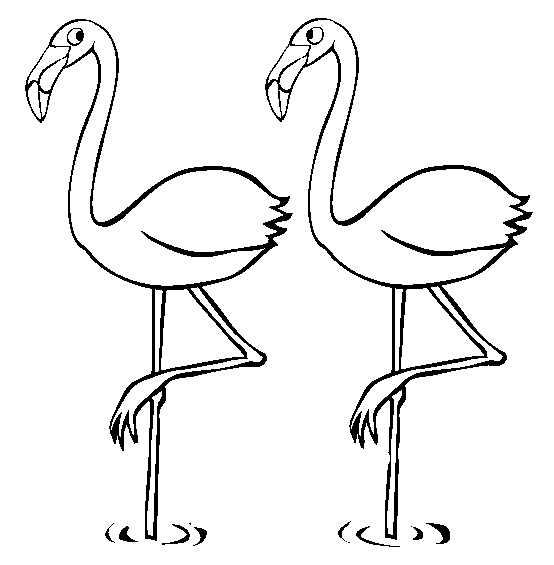 flamingos para pintar