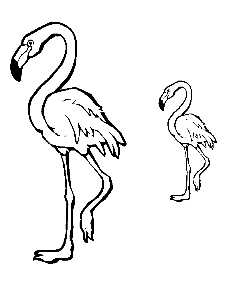 flamingos para pintar