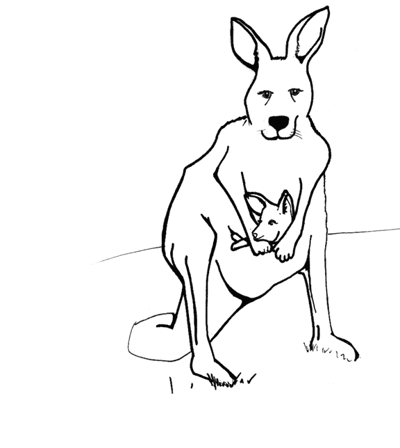imagen de un canguro para colorear