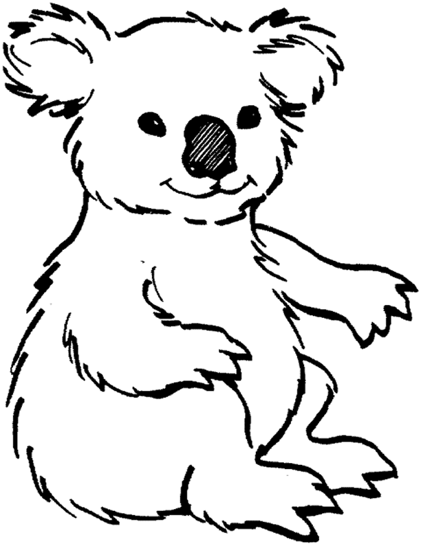 imagen de un koala para colorear