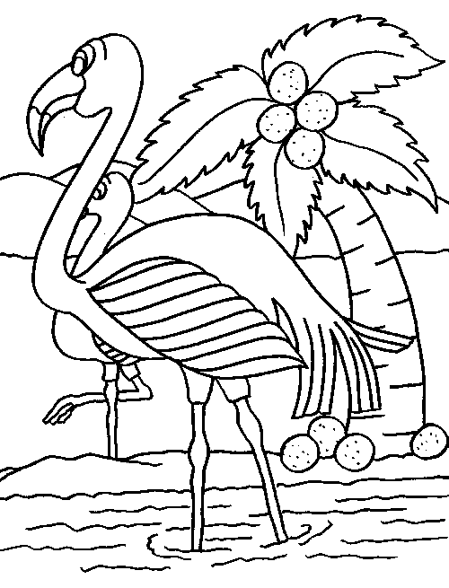 imagenes de flamingos para colorear