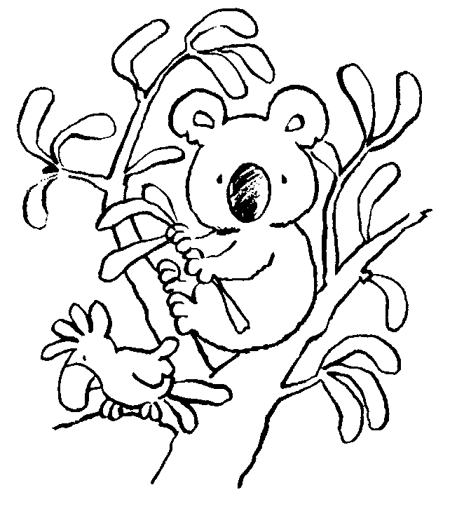 koalas para colorear