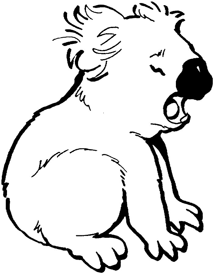 oso koala para colorear