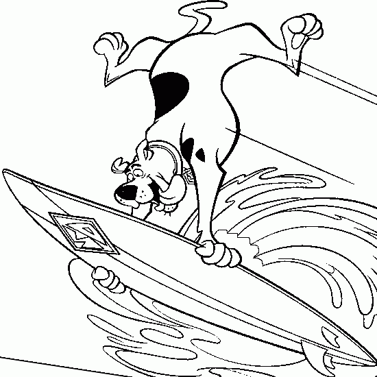 surf para pintar