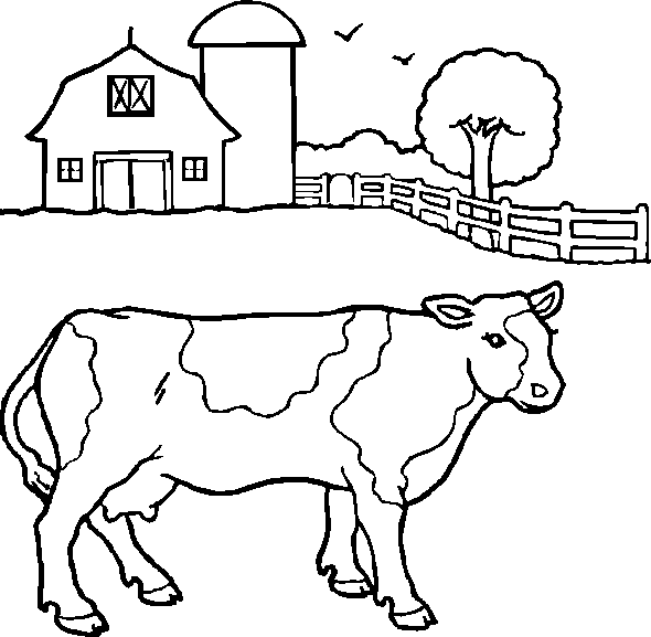 vache