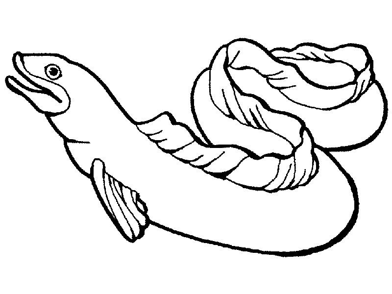 anguila para colorear e imprimir