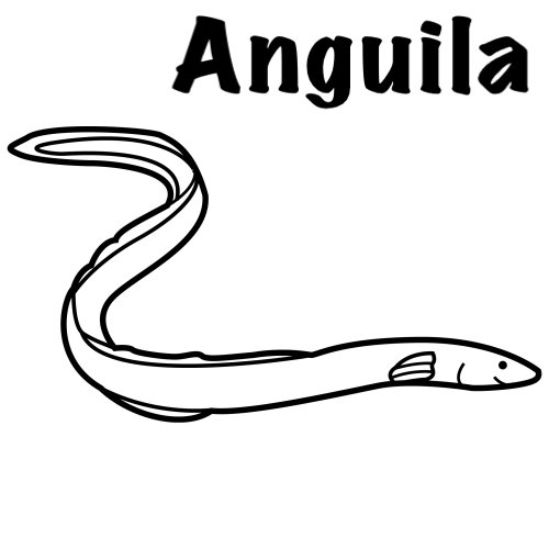 anguila para pintar