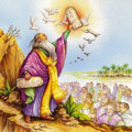 biblicos