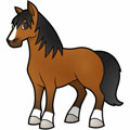 caballos