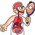 cuerpo humano