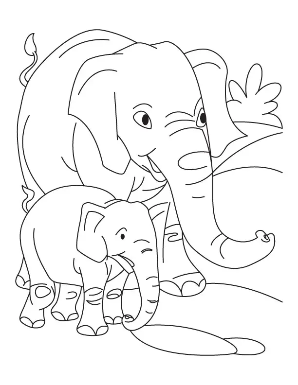 dibujos elefantes bebes para colorear