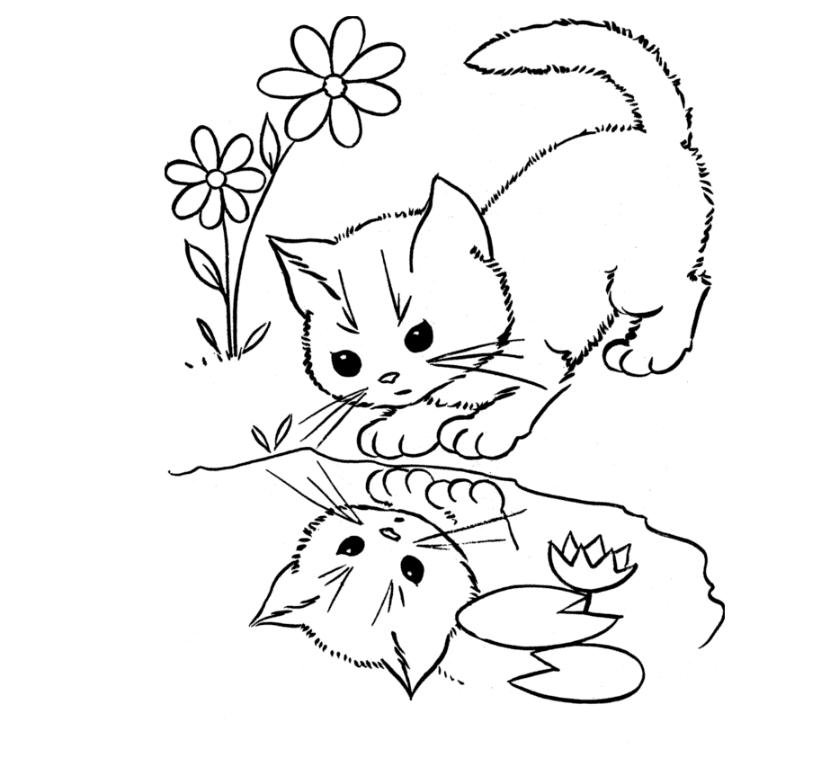 dibujos para colorear de gatos bebes