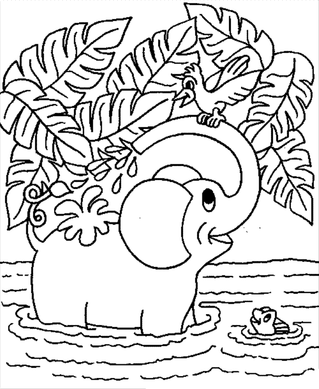 elefantes bebes para colorear