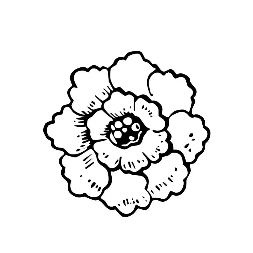dibujos de cempasuchil flor de muerto para colorear