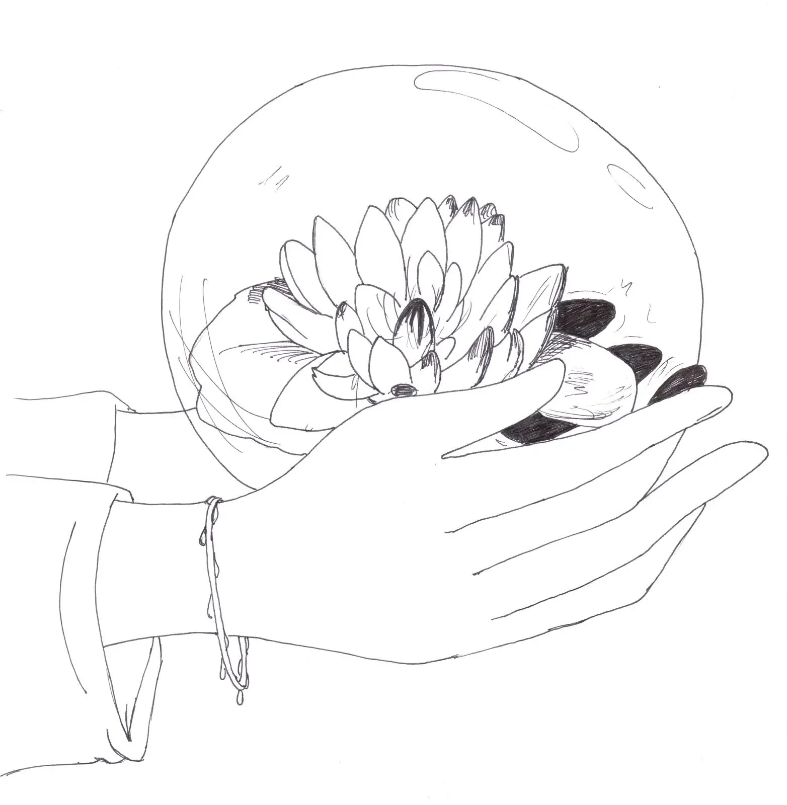 dibujos de flor de loto para colorear