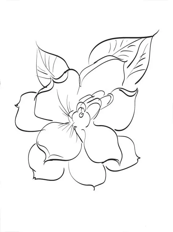 dibujos para colorear de flor gardenia