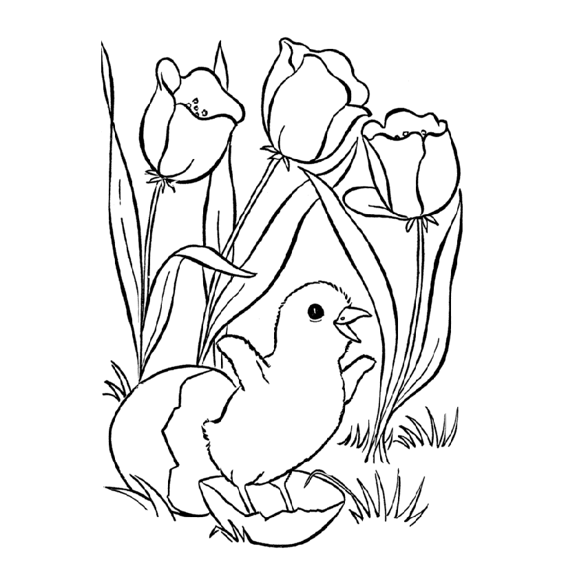 Dibujos de flora y fauna para colorear