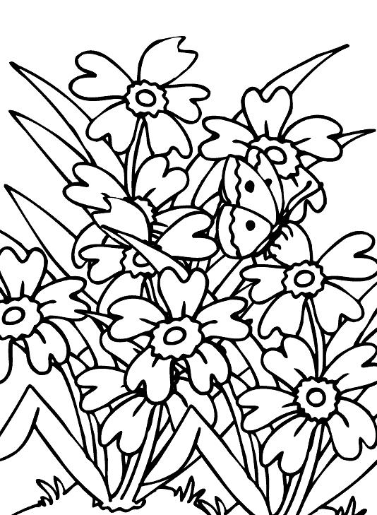 dibujos para colorear de flores silvestres